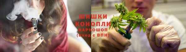 ГАЛЛЮЦИНОГЕННЫЕ ГРИБЫ Алзамай