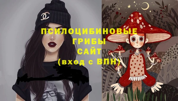 СК Алексеевка