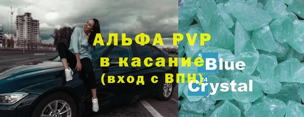 стаф Арсеньев