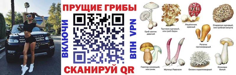 цены наркотик  hydra как войти  Галлюциногенные грибы Magic Shrooms  Белорецк 